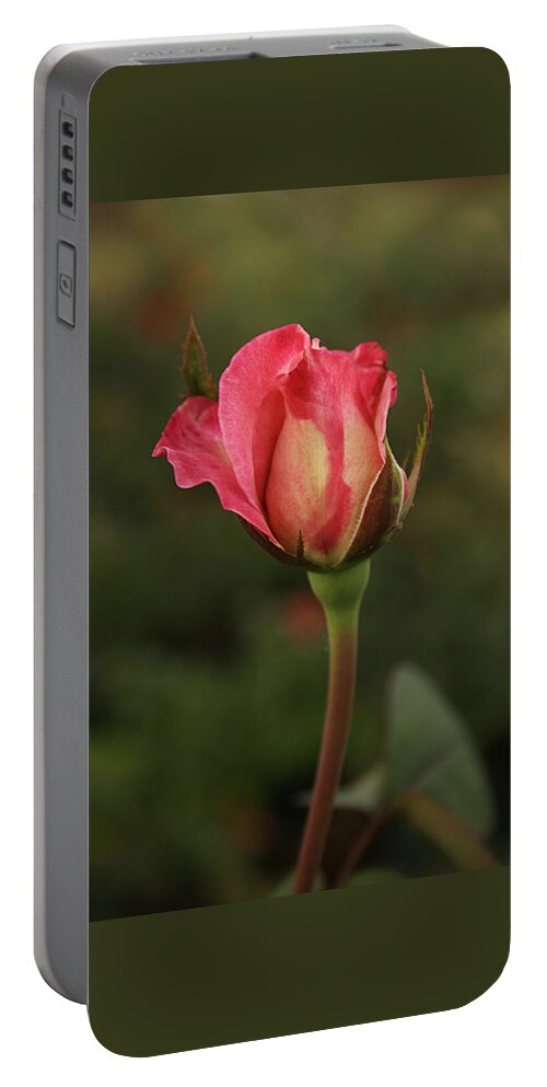 Elegant Portable Battery Charger featuring the photograph SKC 0423 An Elegant Blossom by Sunil Kapadia
