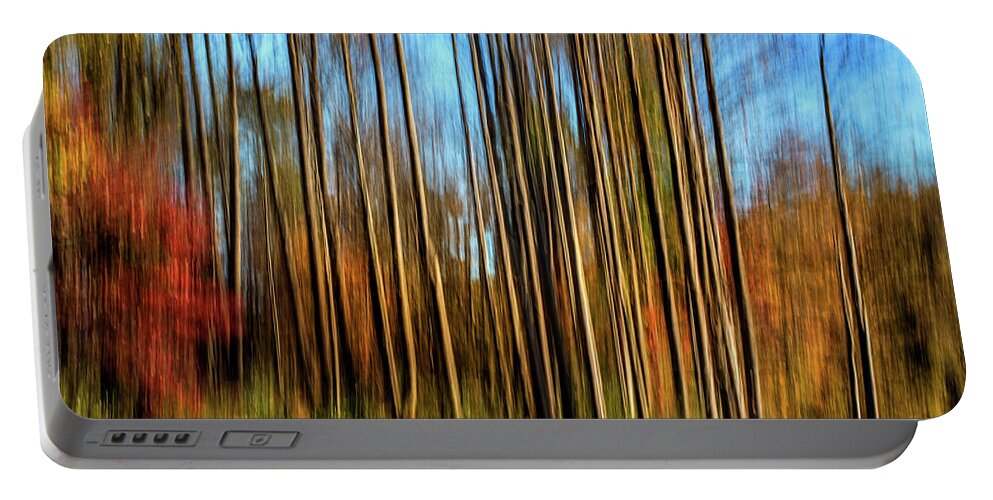 Landscape Portable Battery Charger featuring the photograph Skinny Forest Swipe by Don Johnson