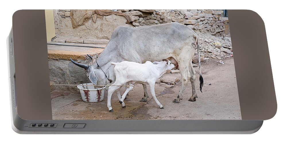 Feeding Portable Battery Charger featuring the photograph SKN 1654 Feeding Time by Sunil Kapadia