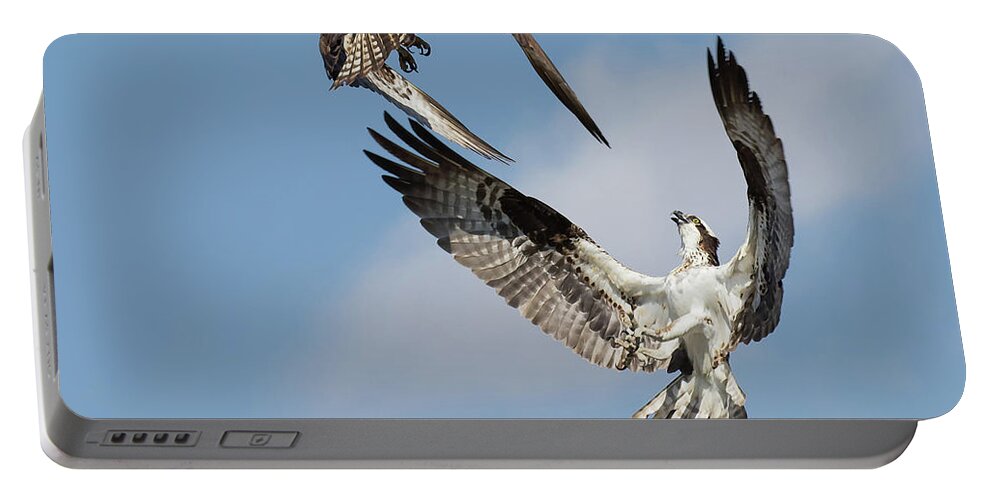 Osprey Portable Battery Charger featuring the photograph Sky Duel by Art Cole