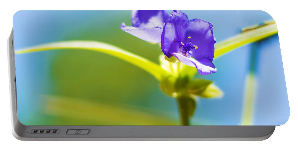 Violet Portable Battery Charger featuring the photograph Sky Flowers by Metaphor Photo