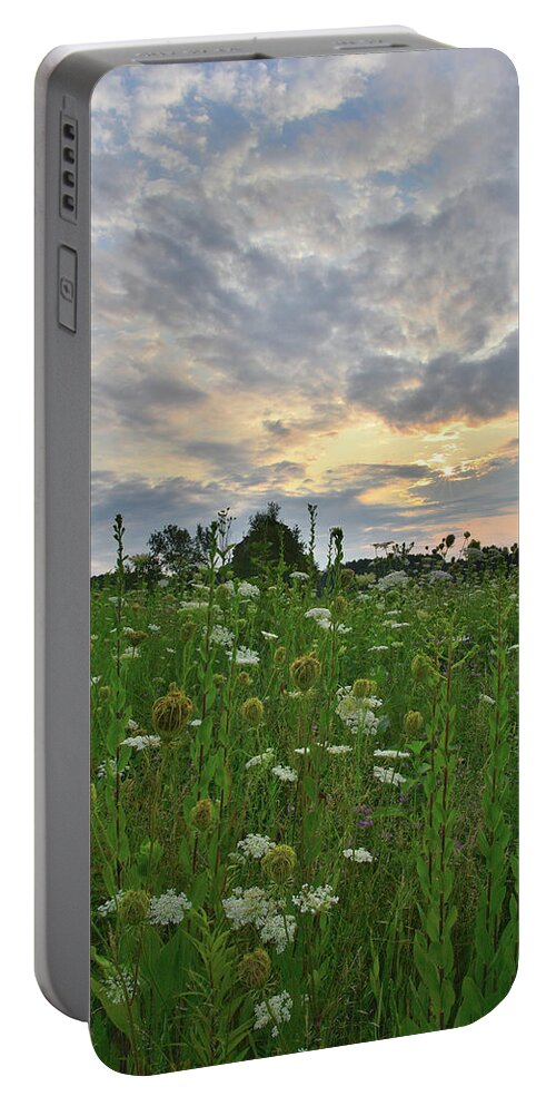 Sunflowers Portable Battery Charger featuring the photograph Sky Opens Up Over Pleasant Valley Conservation Area by Ray Mathis