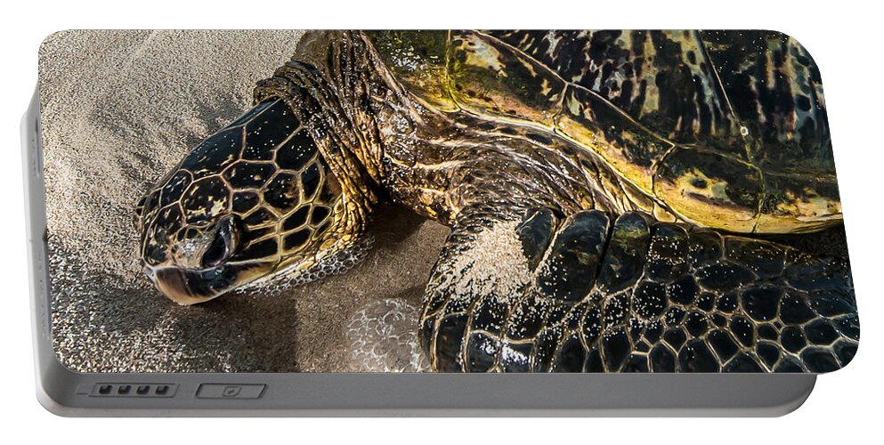 Sea Life Portable Battery Charger featuring the photograph Sleeper Honu by Leonardo Dale