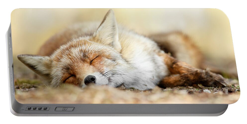 Red Fox Portable Battery Charger featuring the photograph Sleeping Beauty -Red fox in rest by Roeselien Raimond