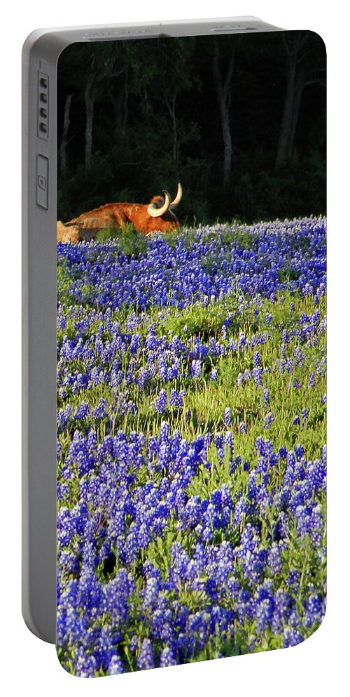 Cow Portable Battery Charger featuring the photograph Sleeping Longhorn in Bluebonnet Field by Ted Keller