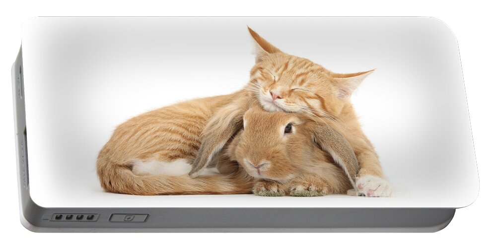 Sandy Lionhead Lop Portable Battery Charger featuring the photograph Sleeping on Bun by Warren Photographic