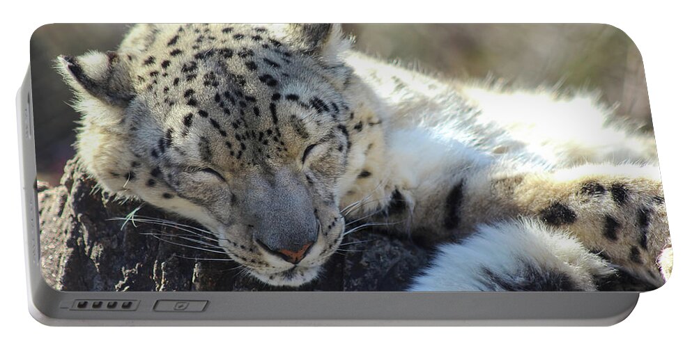 Snow Leopard Portable Battery Charger featuring the photograph Sleeping Snow Leopard by Holly Ross