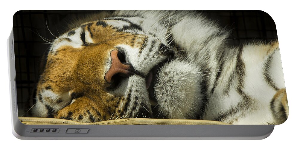 Tiger Portable Battery Charger featuring the photograph Sleeping Tiger by Bill Cubitt