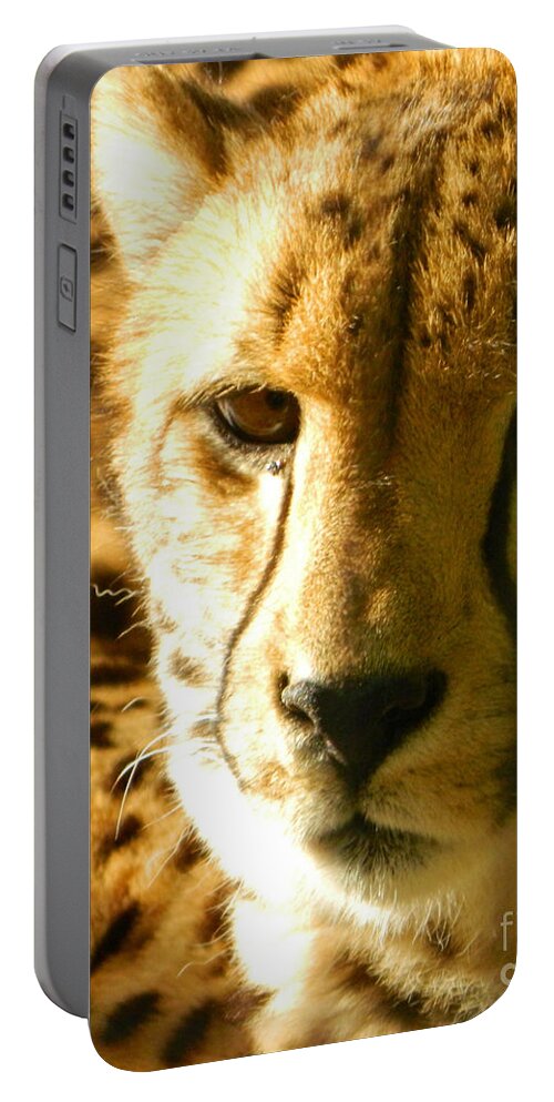 Sleepy Cheetah Cub Portable Battery Charger featuring the photograph Sleepy Cheetah Cub by Emmy Vickers