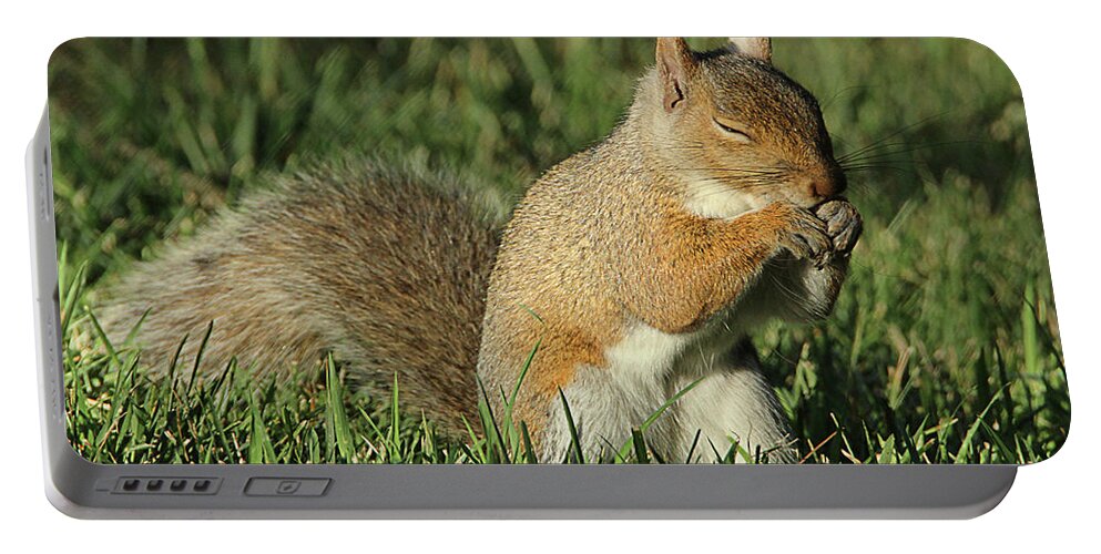 Squirrel Portable Battery Charger featuring the photograph Sleepy by David Stasiak