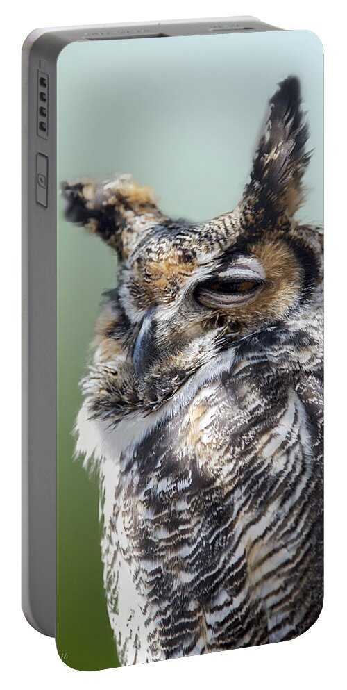 2d Portable Battery Charger featuring the photograph Sleepy Great Horned Owl by Brian Wallace
