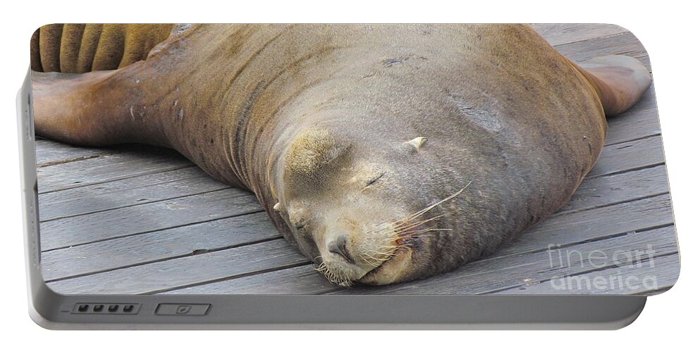 Adorable Portable Battery Charger featuring the photograph Sleepy Sea Lion by Beth Saffer