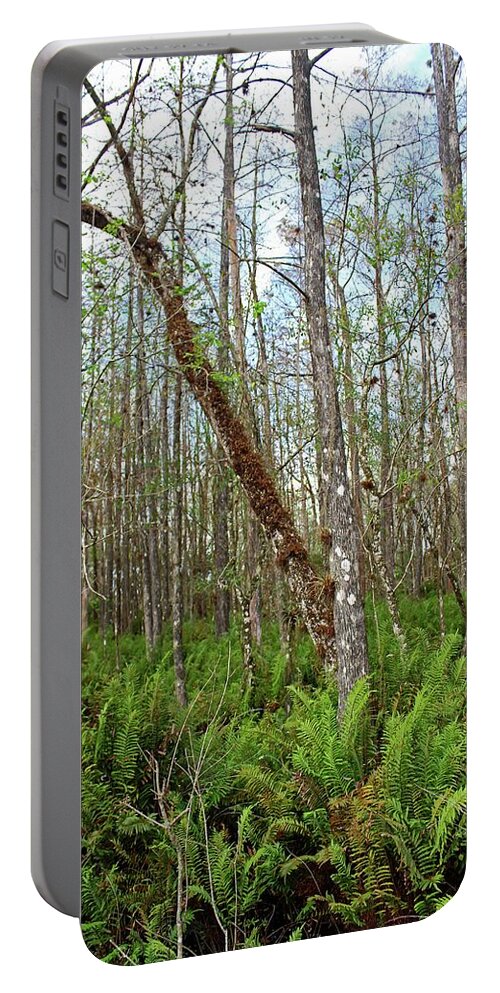 Tree Portable Battery Charger featuring the photograph Slough Legacy by Michiale Schneider