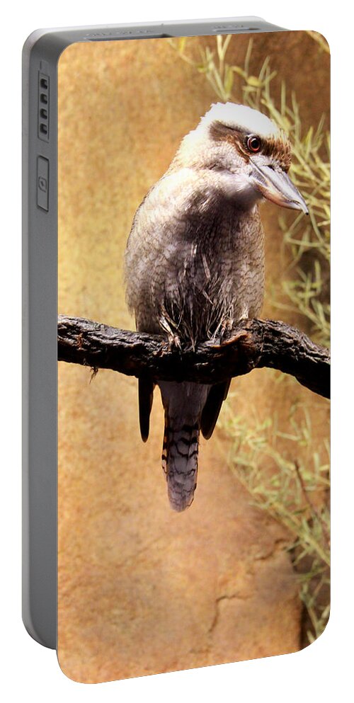 Animals Portable Battery Charger featuring the photograph Small Bird by Mike Dunn