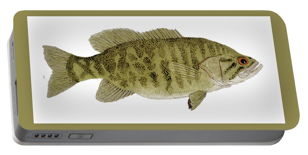 Bass Portable Battery Charger featuring the painting Smallmouth Bass by Thom Glace