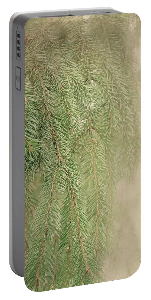 Pine Needles Portable Battery Charger featuring the photograph Smell The Pine by Angie Tirado