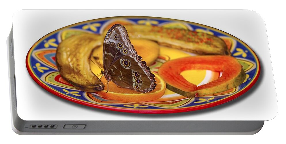 Butterfly Portable Battery Charger featuring the photograph Snacking Butterfly by Bob Slitzan