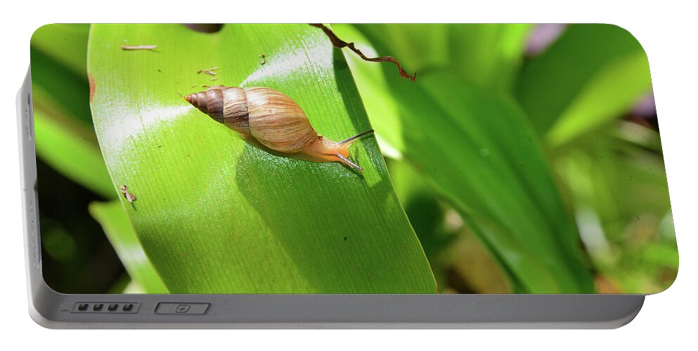 Snail Portable Battery Charger featuring the photograph Snail and landscape by David Lee Thompson