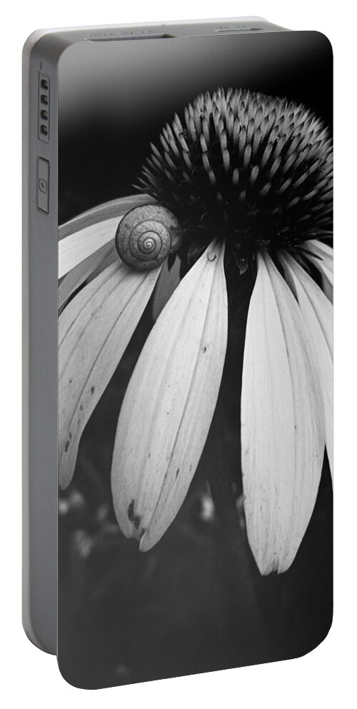 Snail Portable Battery Charger featuring the photograph Snail by Sharon Jones