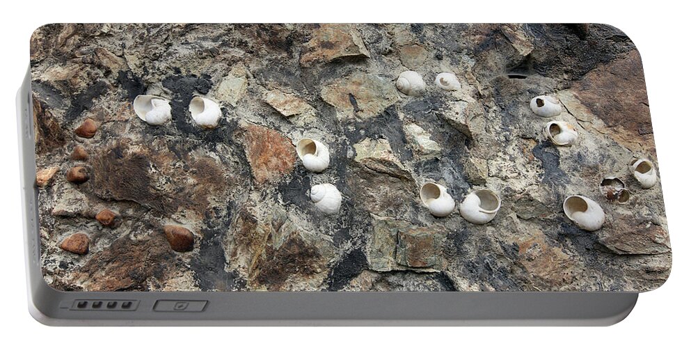 Abstract Portable Battery Charger featuring the photograph Snail shells in the wall by Michal Boubin