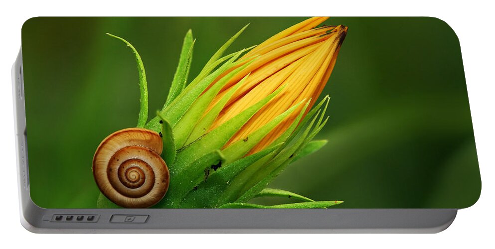 Snail Portable Battery Charger featuring the photograph Snail by Yuri Peress