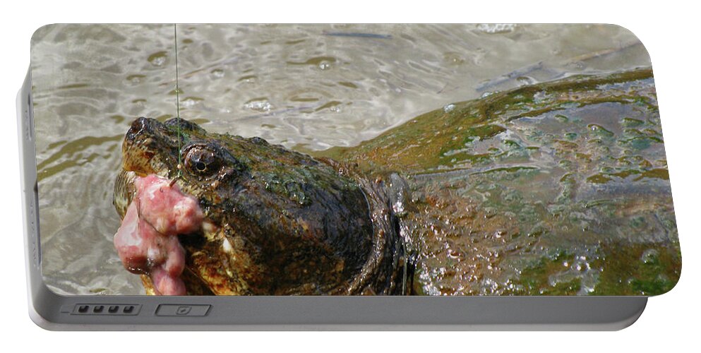 Fishing Portable Battery Charger featuring the photograph Snapper Turtle by Donna Brown