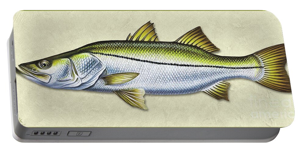 Jon Q Wright Snook Ocean Saltwater Gamefish Fishing Fish Print Fish Poster Lure Tackle Portable Battery Charger featuring the painting Snook ID by Jon Q Wright