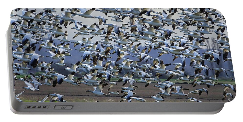 Birds Portable Battery Charger featuring the photograph Snow Geese Cloud by Rick Lawler