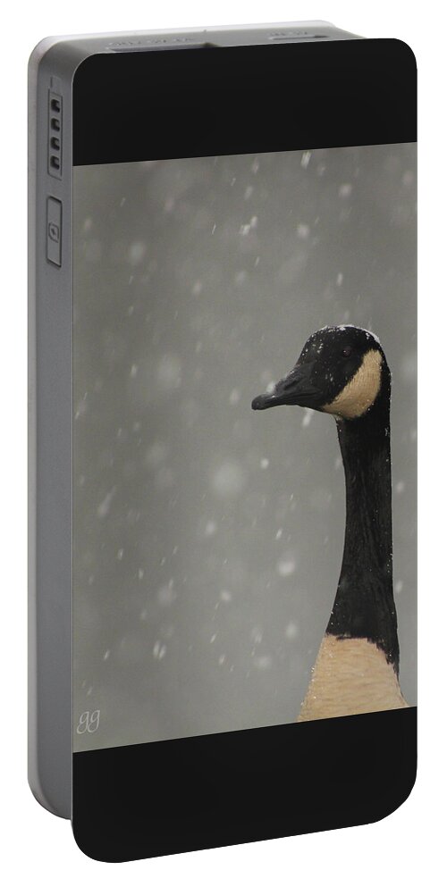 Goose Portable Battery Charger featuring the photograph Snow Goose by Geri Glavis