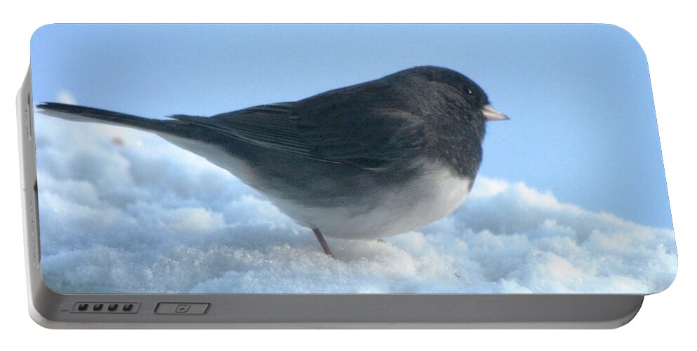Bird Hopping In Snow Portable Battery Charger featuring the photograph Snow Hopping #1 by Cindy Schneider