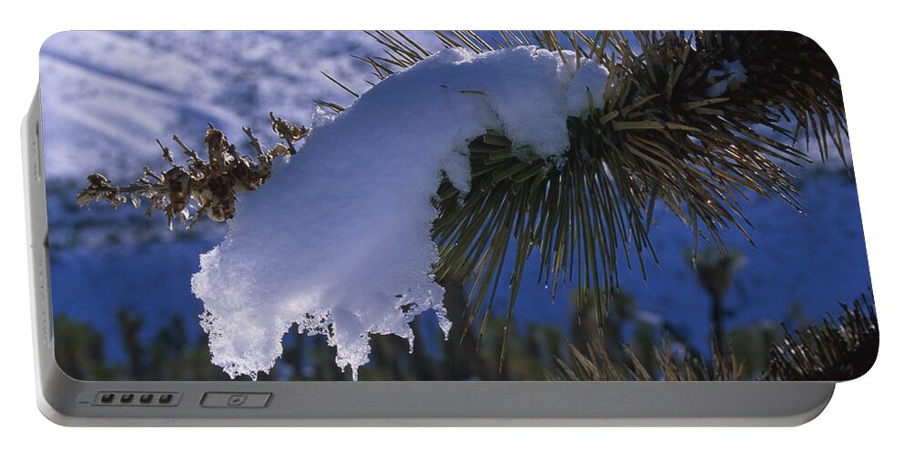 Joshua Tree Portable Battery Charger featuring the photograph Snow Ornament - Joshua Tree by Soli Deo Gloria Wilderness And Wildlife Photography