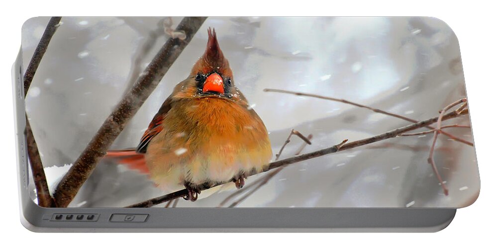 Bird Portable Battery Charger featuring the photograph Snow Surprise by Lois Bryan