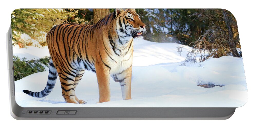 Tiger Portable Battery Charger featuring the photograph Snow Tiger by Steve McKinzie