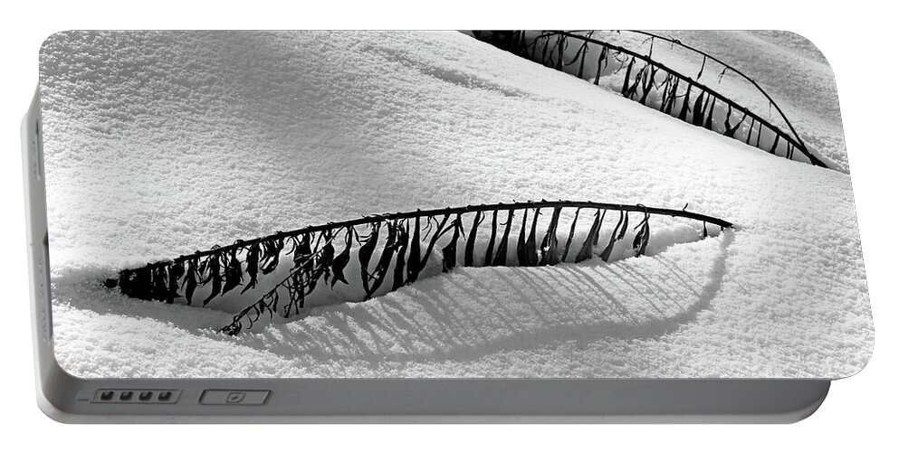 Snow Portable Battery Charger featuring the photograph Snowbound by Debbie Oppermann