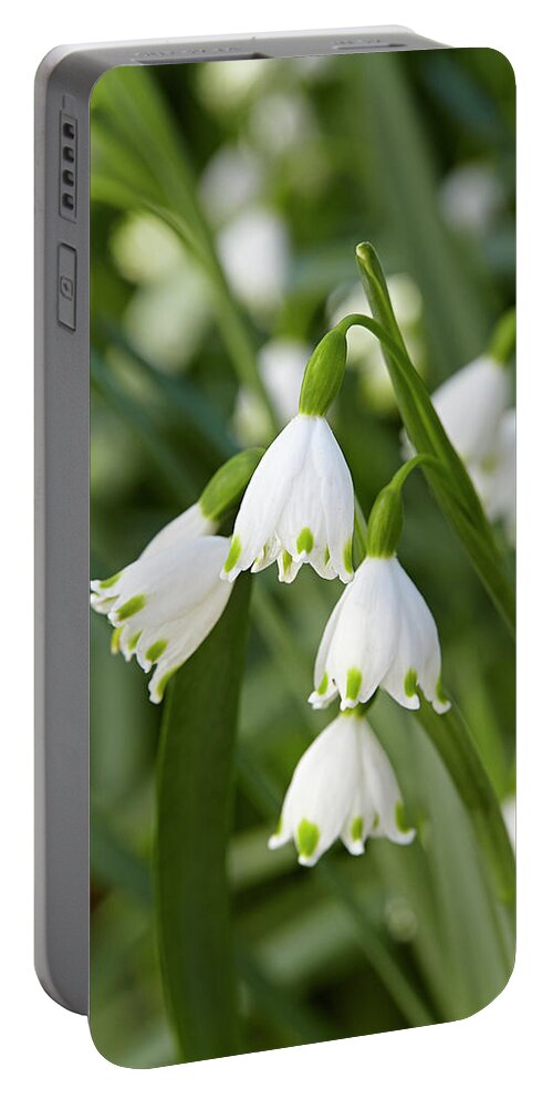 Garden Portable Battery Charger featuring the photograph Snowflake by Garden Gate