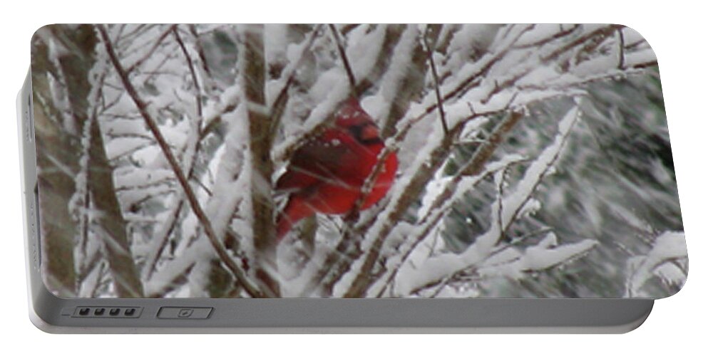 Bird Portable Battery Charger featuring the photograph Snowing by Donna Brown