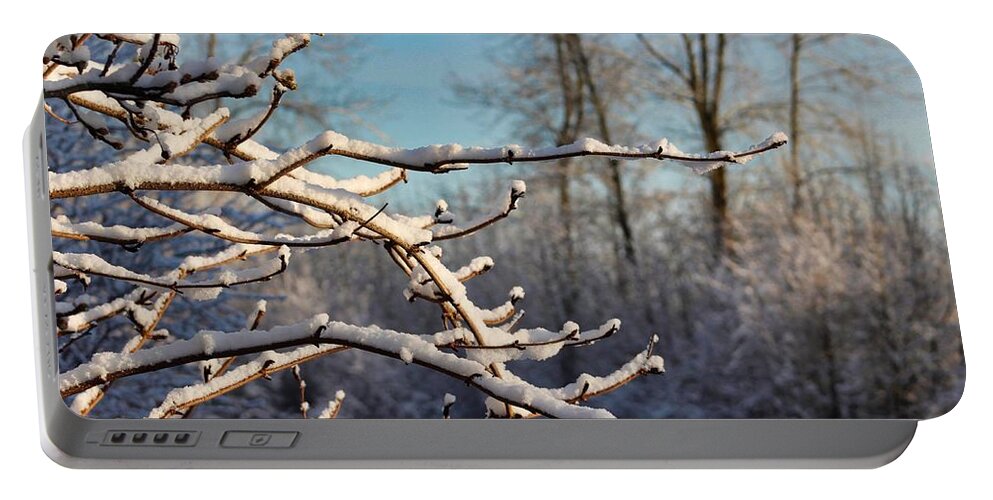 Snow Portable Battery Charger featuring the photograph Snowy Branches by Brian Eberly
