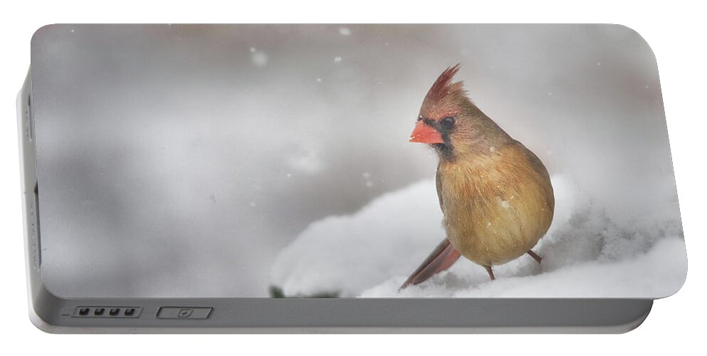 Cardinal Portable Battery Charger featuring the photograph Snowy Day Lady by Sue Capuano
