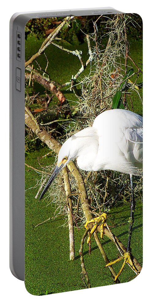 Egret Portable Battery Charger featuring the photograph Snowy Egret 003 by Christopher Mercer