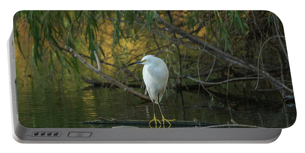 Snowy Portable Battery Charger featuring the photograph Snowy Egret 5081-092117-1 by Tam Ryan