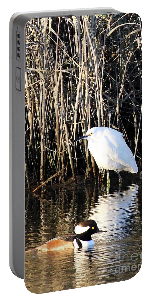 Snowy Egret And A Guy From The Hood Portable Battery Charger featuring the photograph Snowy Egret and a Guy from the Hood by Jennifer Robin