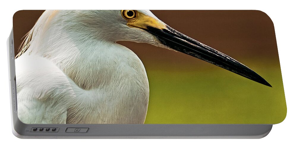 Egret Portable Battery Charger featuring the photograph Snowy Egret by Christopher Holmes
