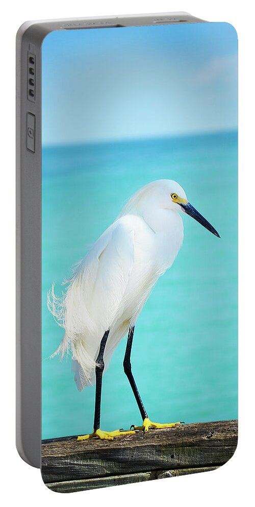 Bird Portable Battery Charger featuring the photograph Snowy Egret by Jennifer Wright