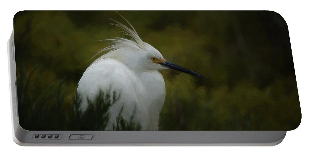 Birds Portable Battery Charger featuring the digital art Snowy Egret Portrait DA by Ernest Echols