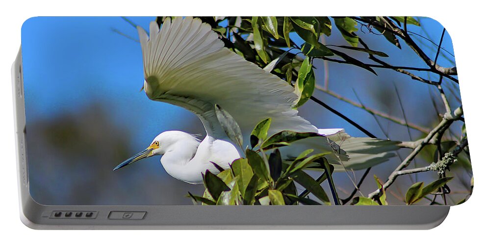 Nature Portable Battery Charger featuring the photograph Snowy Egret Taking Flight - Egretta Thula by DB Hayes