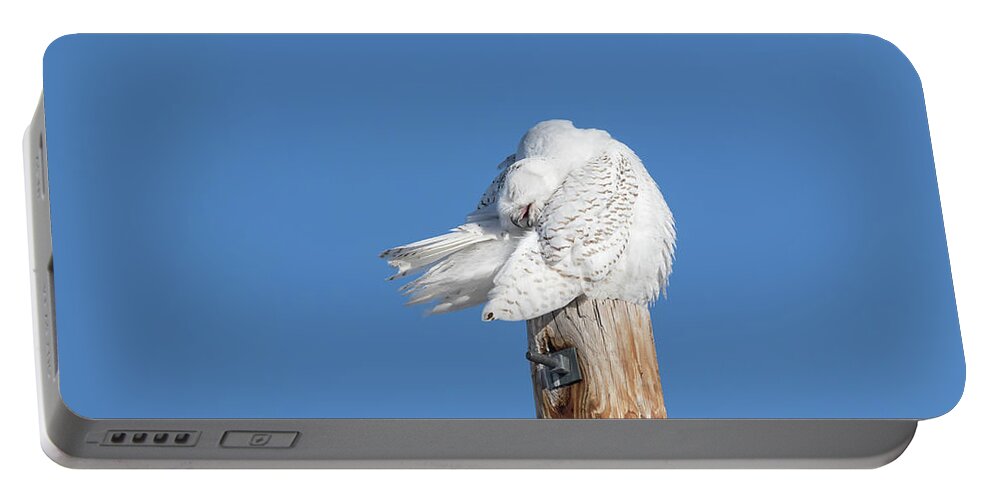 Snowy Owl Portable Battery Charger featuring the photograph Snowy Owl 2018-20 by Thomas Young