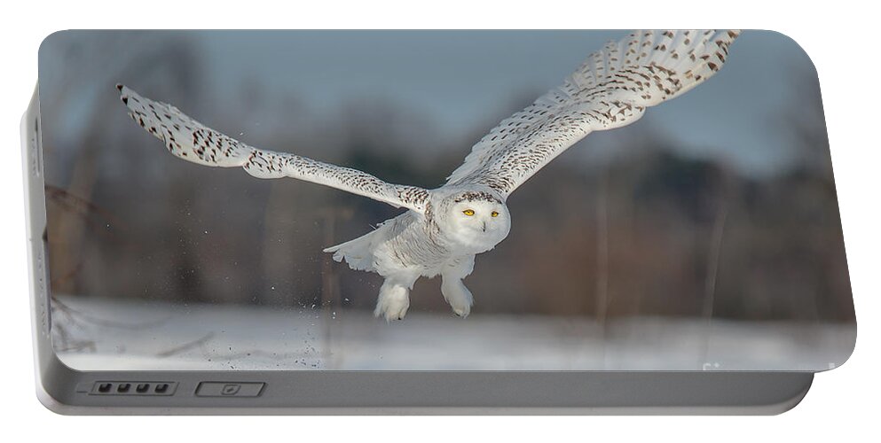 Cheryl Baxter Photography Portable Battery Charger featuring the photograph Snowy Owl Taking Off by Cheryl Baxter