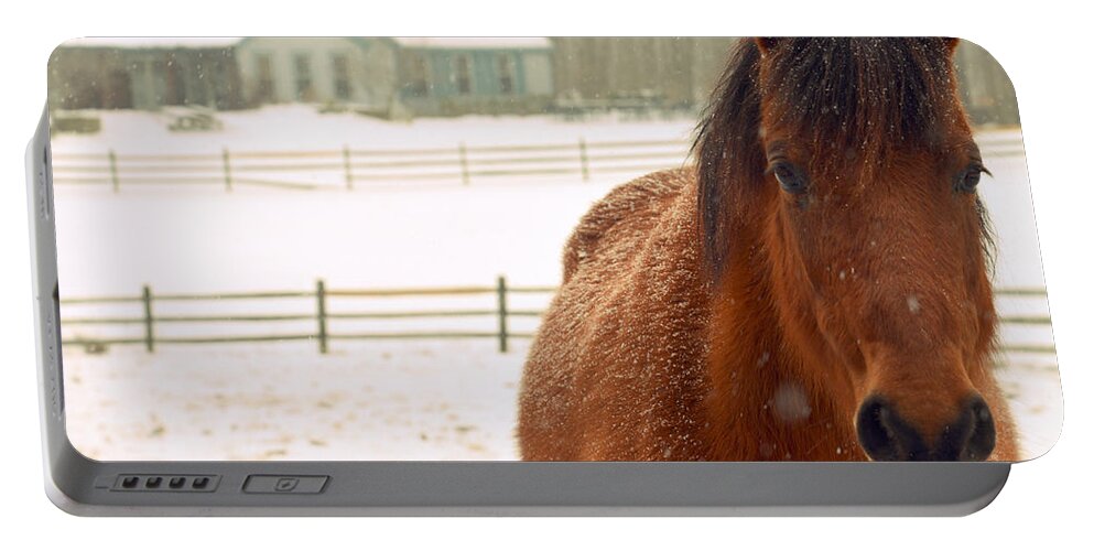 Horse Portable Battery Charger featuring the photograph Horse #1 by Marysue Ryan