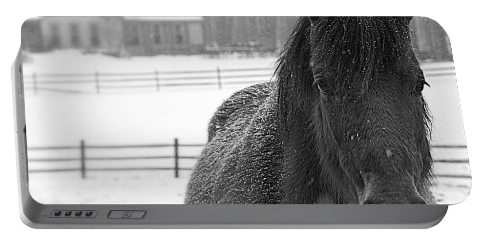 Horse Portable Battery Charger featuring the photograph Horse Black and white photo by Marysue Ryan