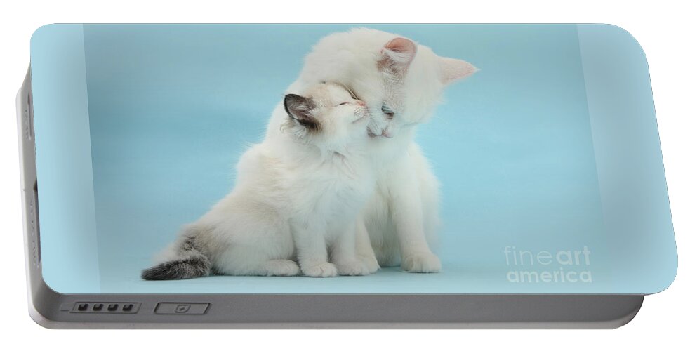 White Maine Coon Portable Battery Charger featuring the photograph Snuggle up with mother by Warren Photographic